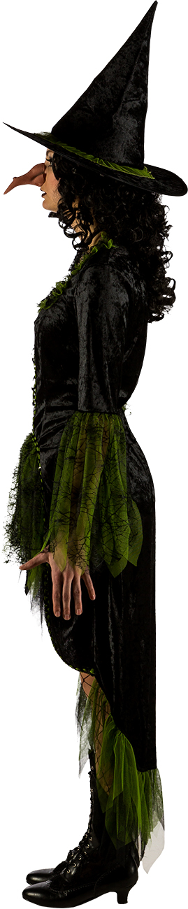 Hexenkleid schwarz-grün Hexenkleid schwarz-grün