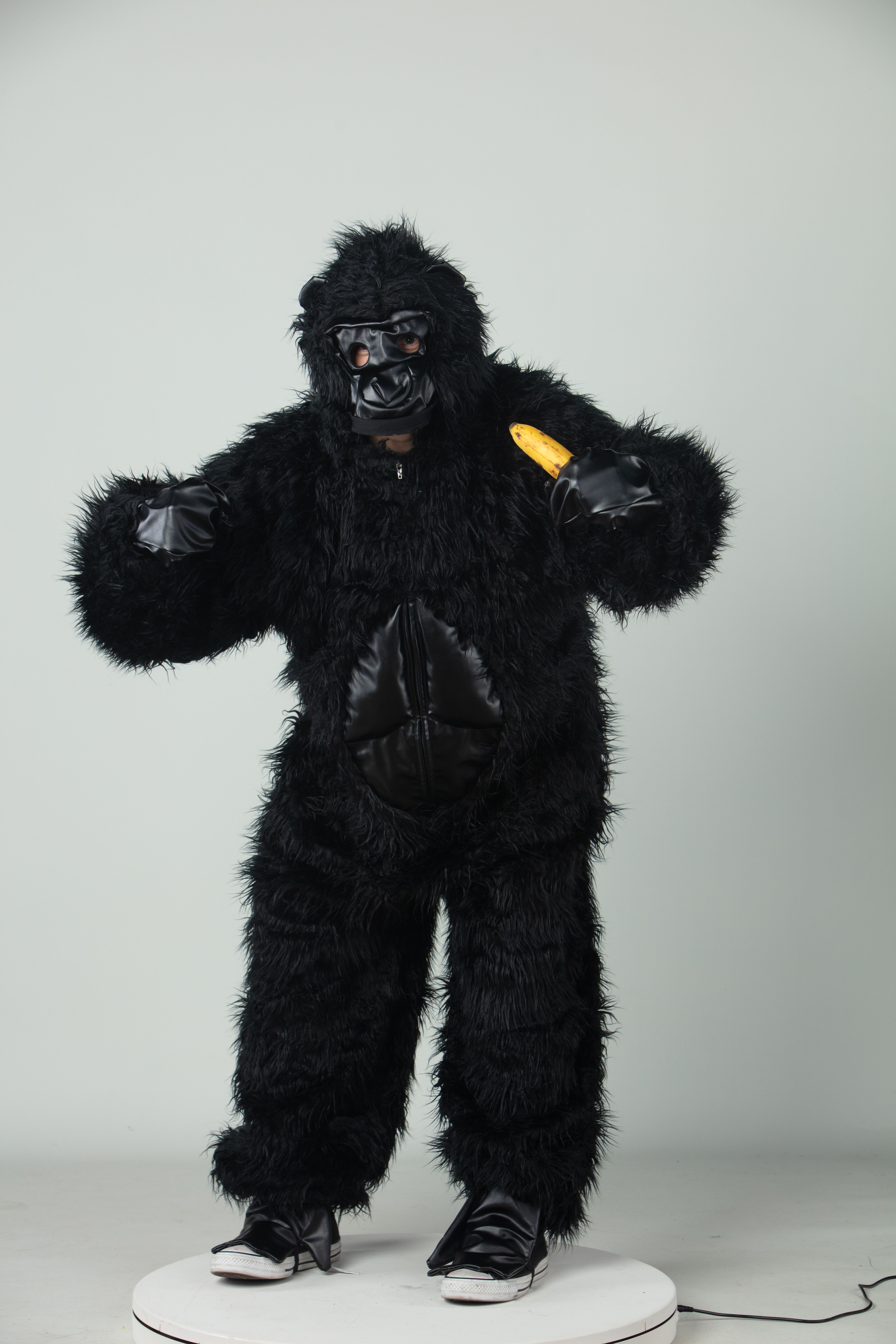 Gorilla schwarz Gorilla schwarz