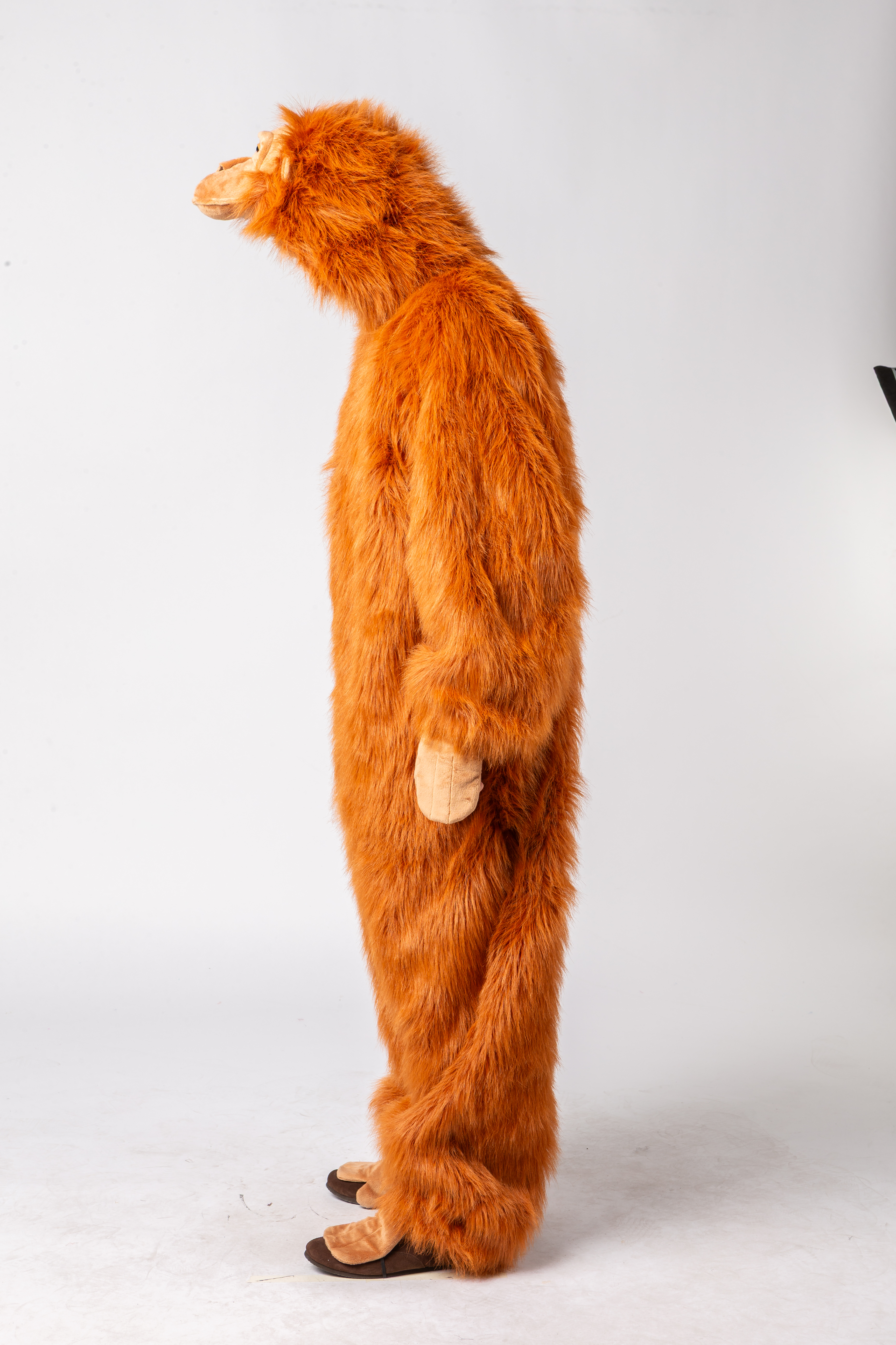 Orang-Utan Orang-Utan