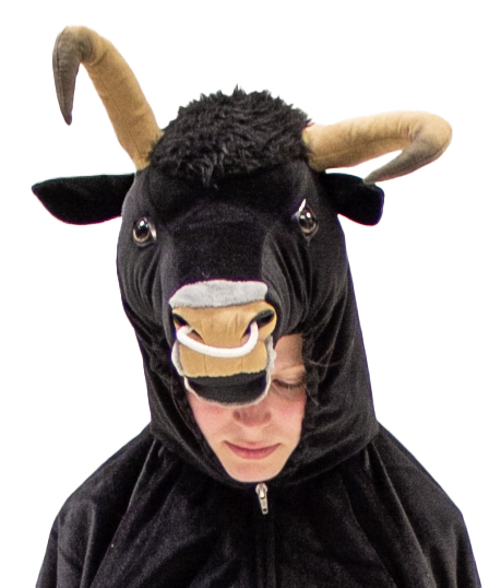 Big Stier Damen
