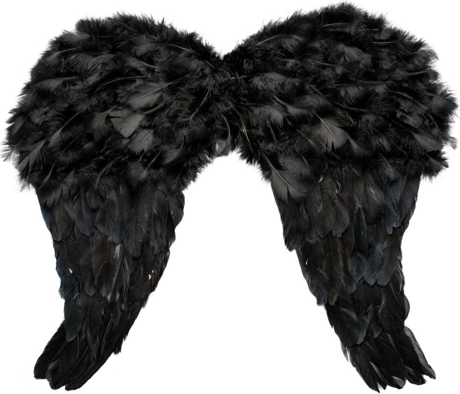 Federflügel, schwarz 