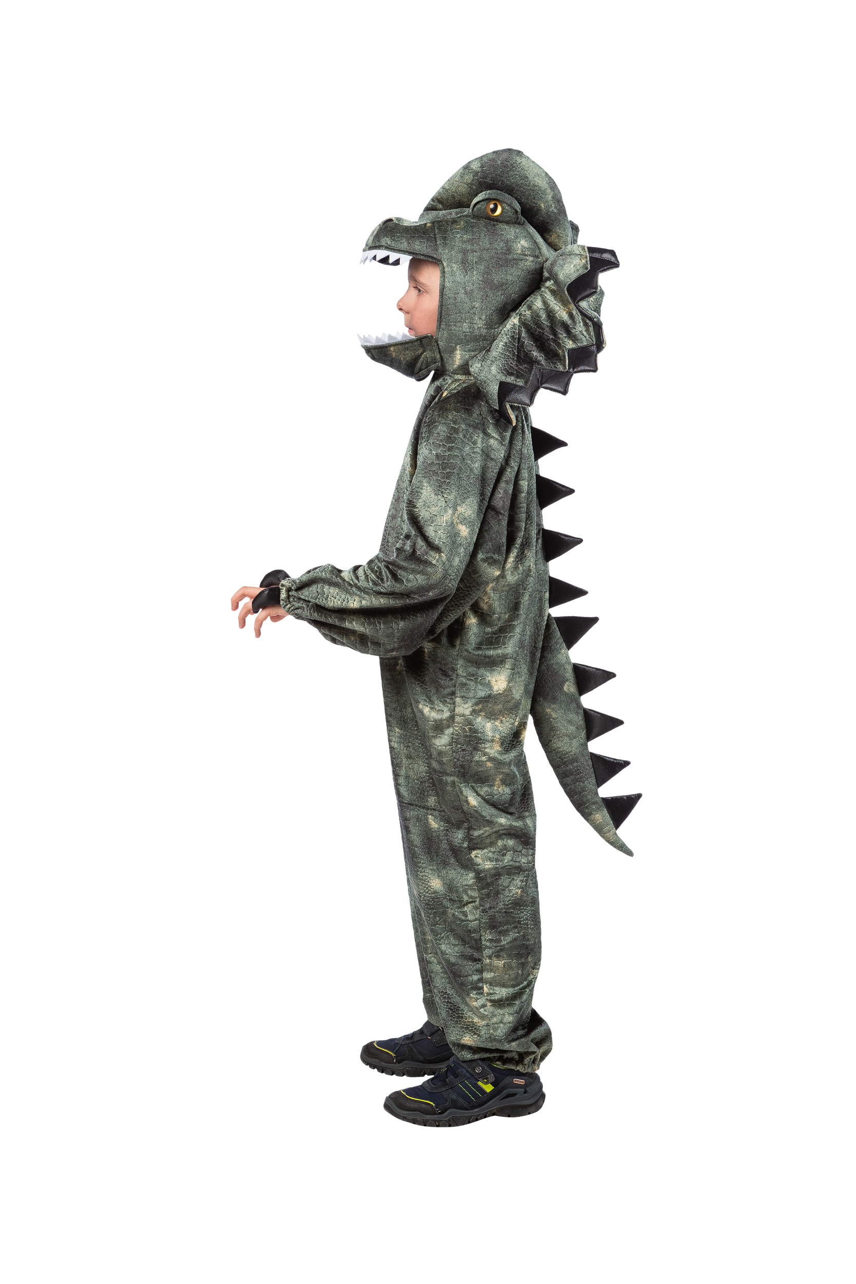Overall Dilophosaurus 104 Overall Dilophosaurus 104