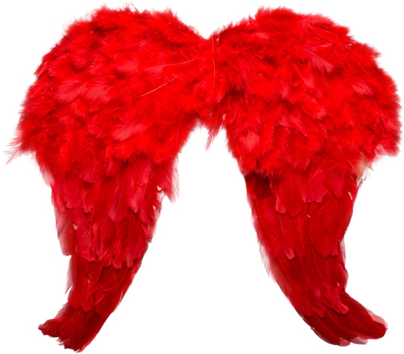 Federflügel, rot